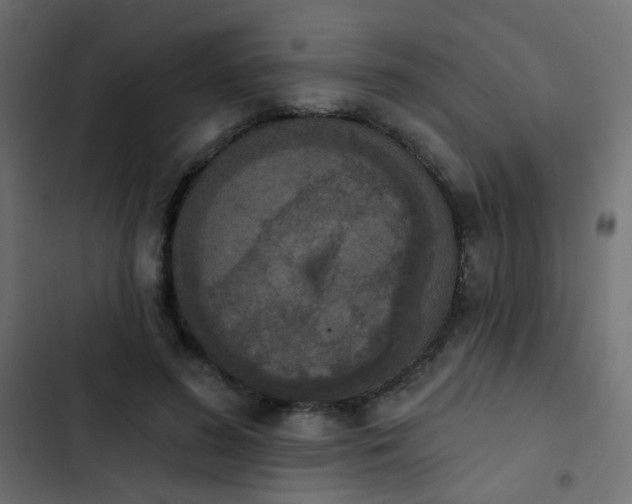 X0000103950596200809261750