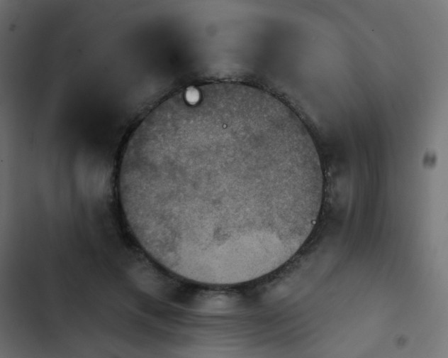 X0000103950597200809261750