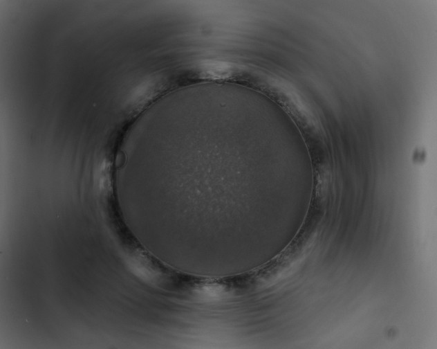 X0000103950598200809261750