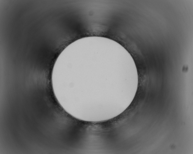 X0000103950599200809261750