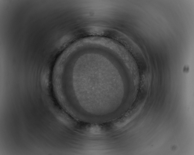 X0000103950600200809261750