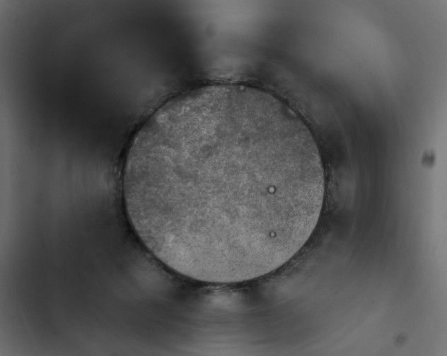 X0000103950601200809261750