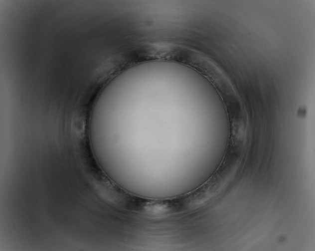 X0000103950602200809261750