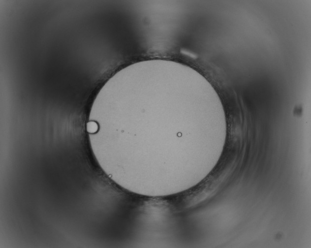 X0000103950603200809261750