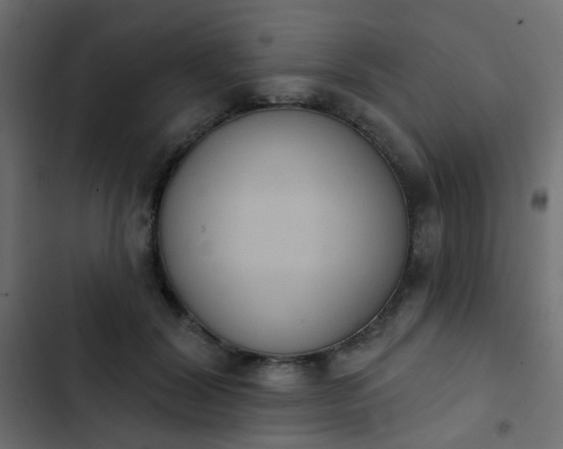 X0000103950604200809261750