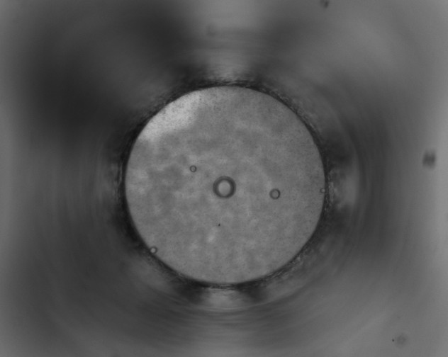 X0000103950605200809261750