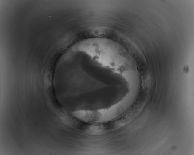 X0000103950606200809261750