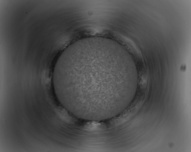 X0000103950607200809261750