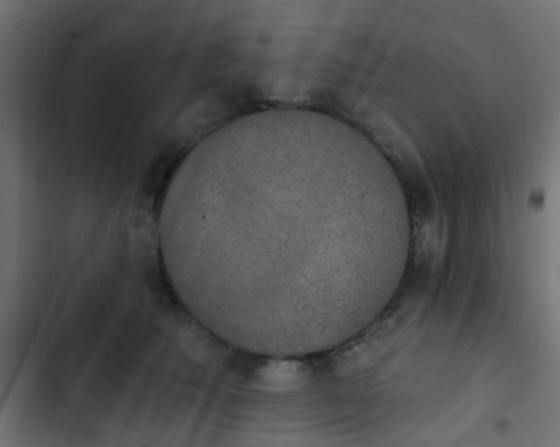 X0000103950609200809261750