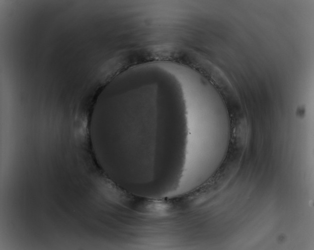 X0000103950610200809261750