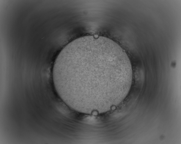 X0000103950611200809261750