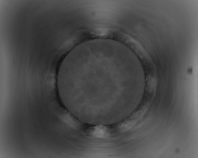 X0000103950612200809261750