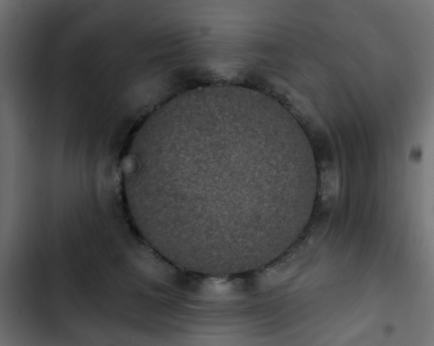 X0000103950613200809261750