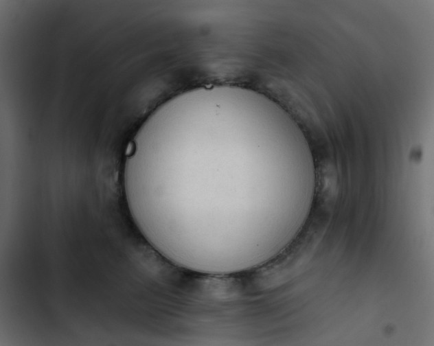 X0000103950615200809261750