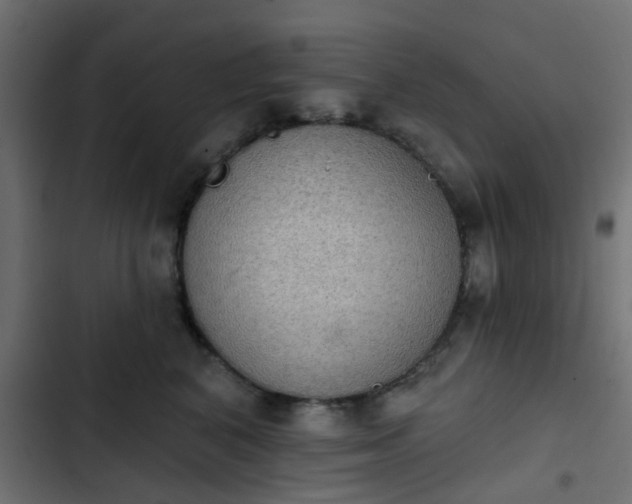 X0000103950616200809261750