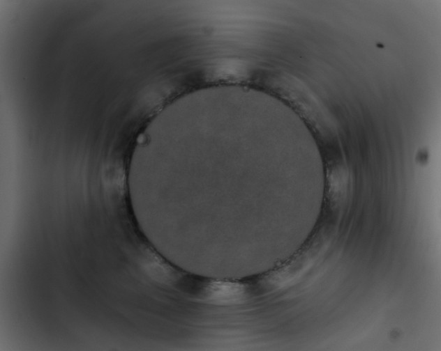 X0000103950617200809261750