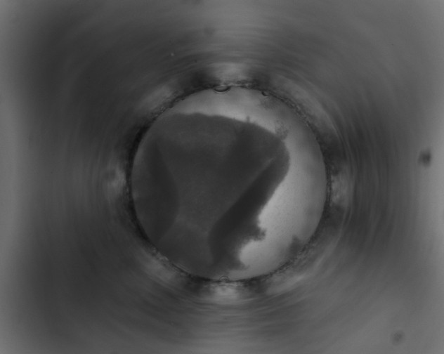 X0000103950618200809261750