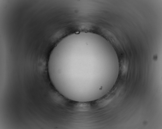 X0000103950619200809261750