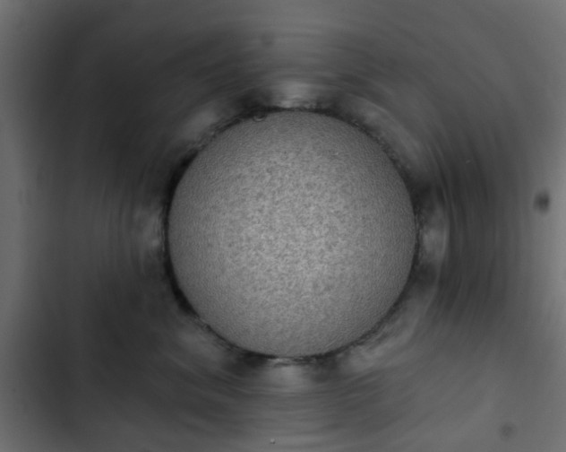 X0000103950620200809261750