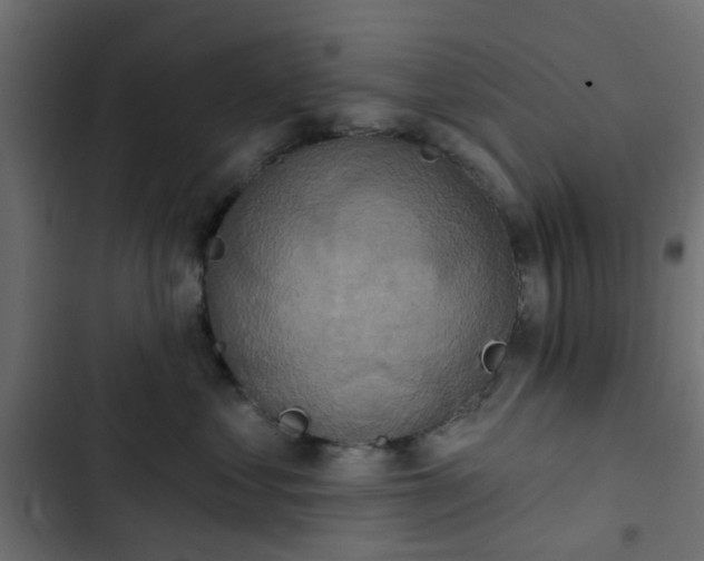 X0000103950621200809261750