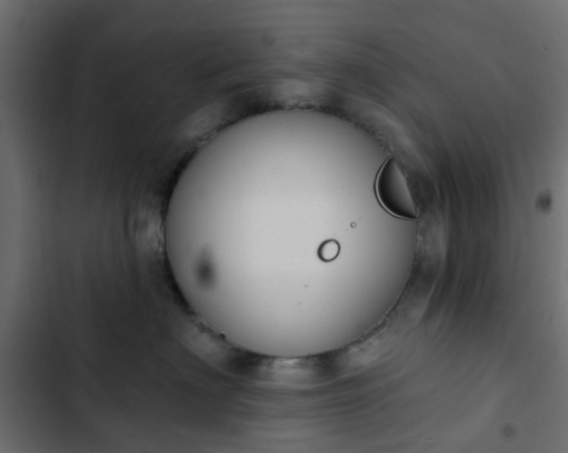 X0000103950622200809261750