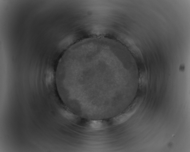 X0000103950623200809261750