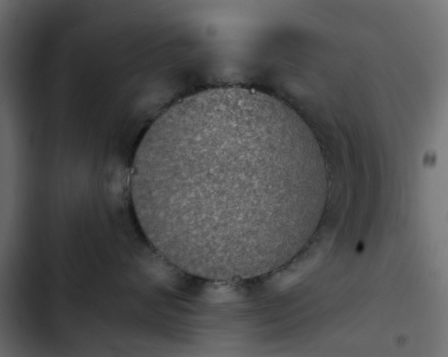 X0000103950624200809261750