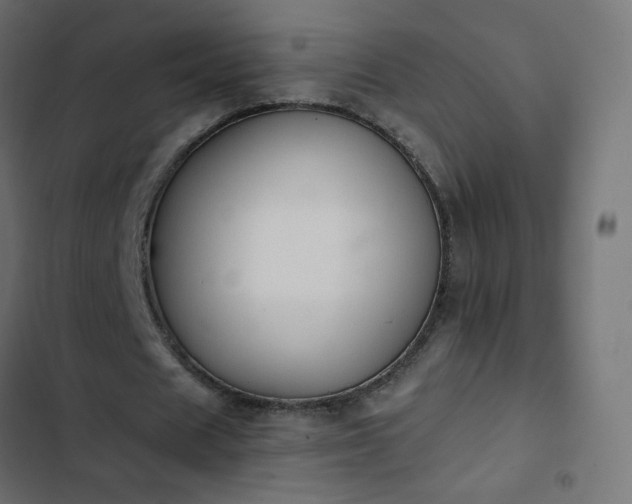 X0000103950625200809261749