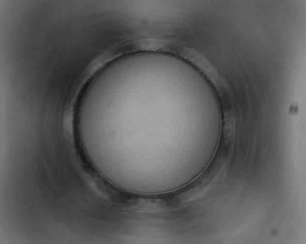 X0000103950626200809261749