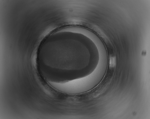 X0000103950627200809261749