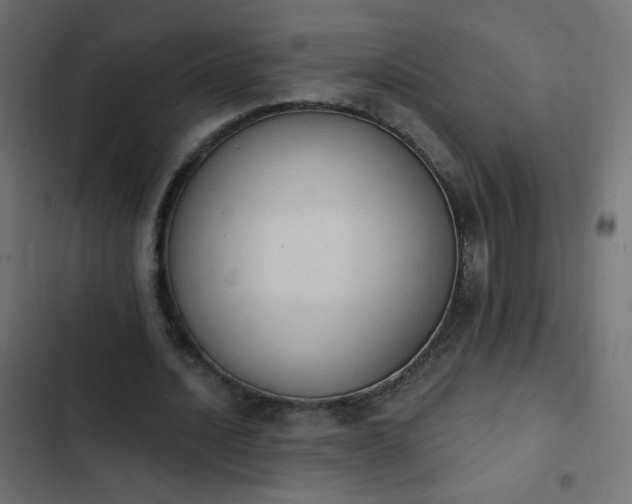 X0000103950628200809261749