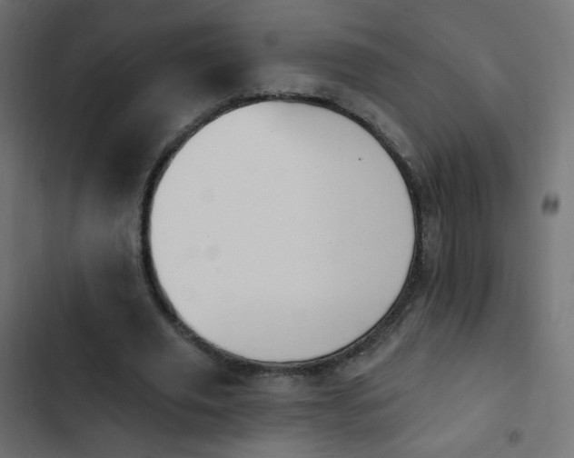 X0000103950629200809261749