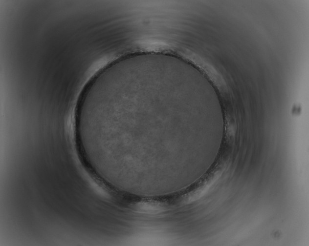 X0000103950630200809261749