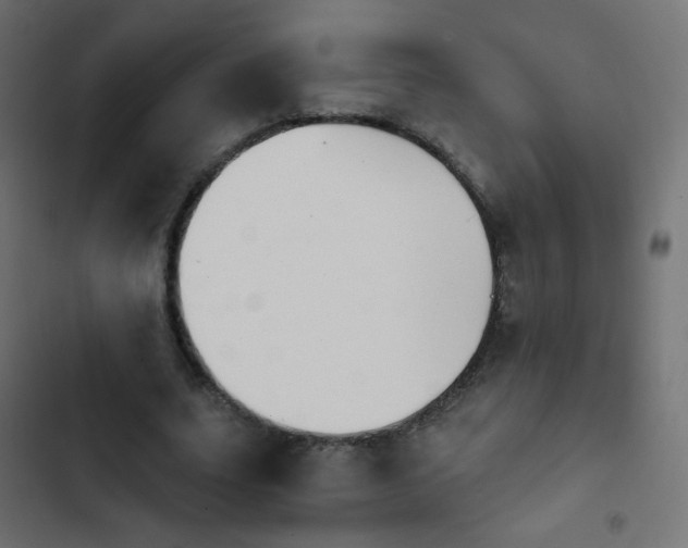 X0000103950631200809261749