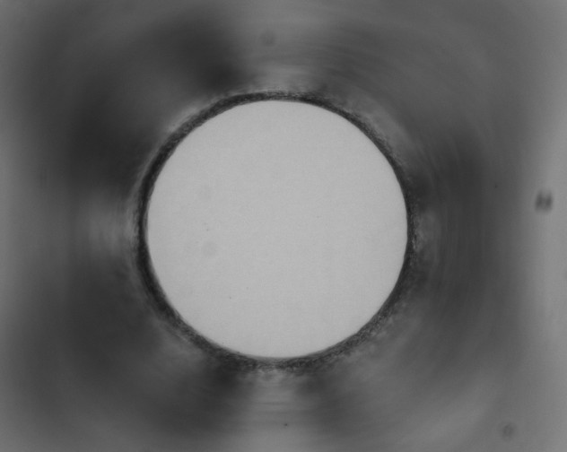 X0000103950632200809261749