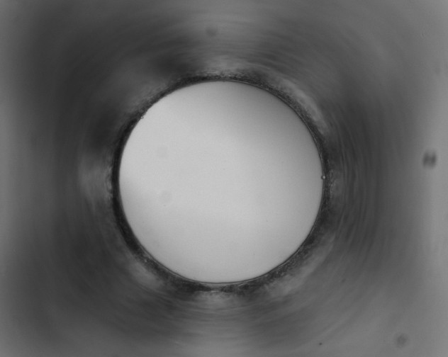 X0000103950633200809261749