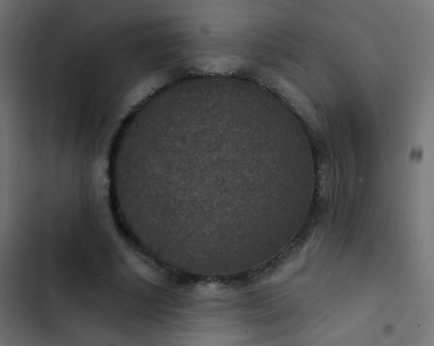 X0000103950634200809261749