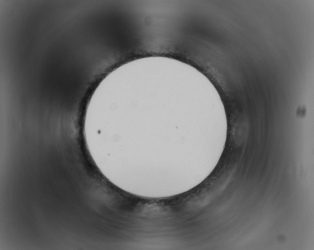 X0000103950635200809261749