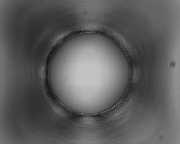 X0000103950636200809261749