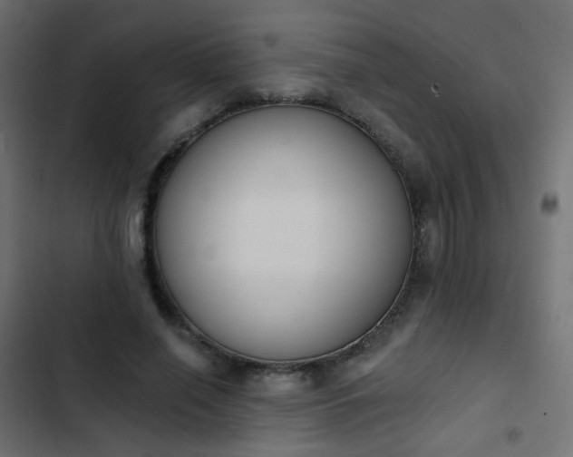 X0000103950638200809261749