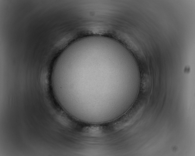 X0000103950639200809261749