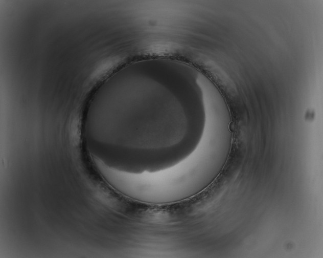 X0000103950640200809261749