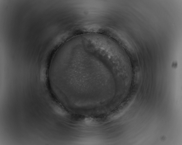 X0000103950641200809261749