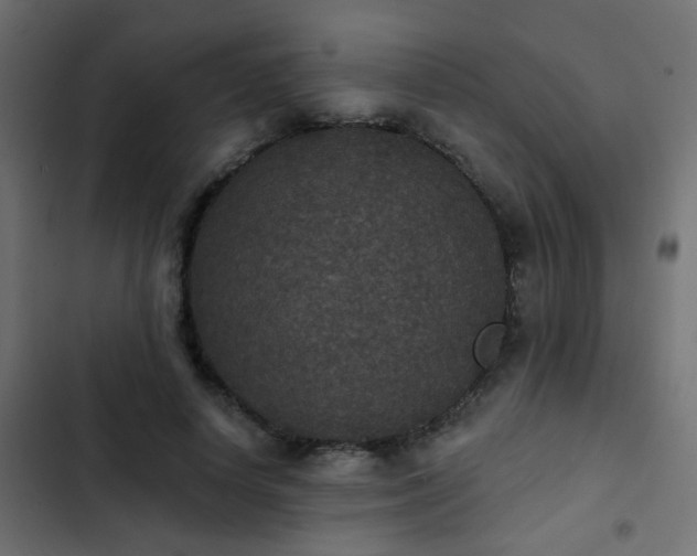 X0000103950642200809261749