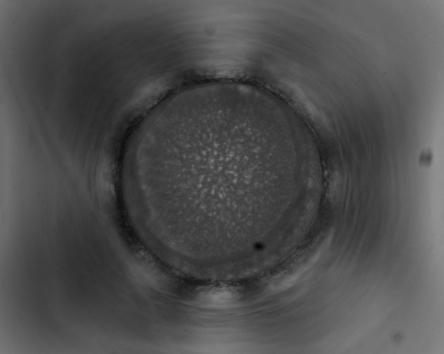 X0000103950643200809261749