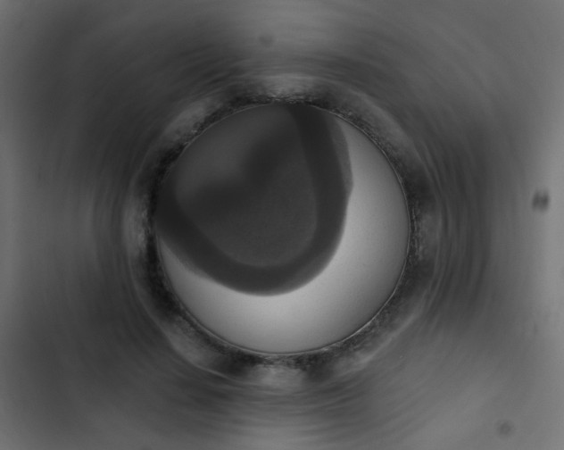 X0000103950644200809261749