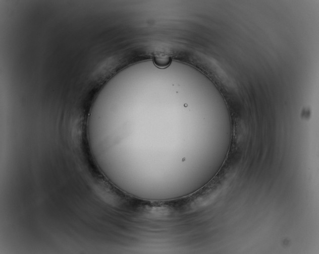 X0000103950645200809261749