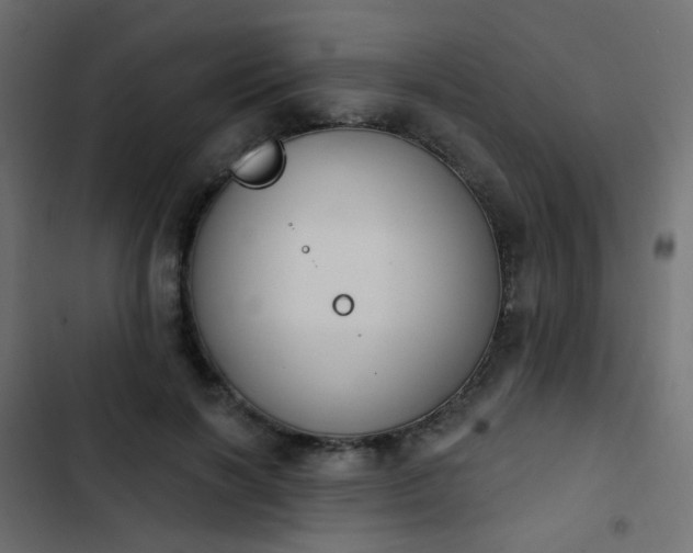 X0000103950646200809261749