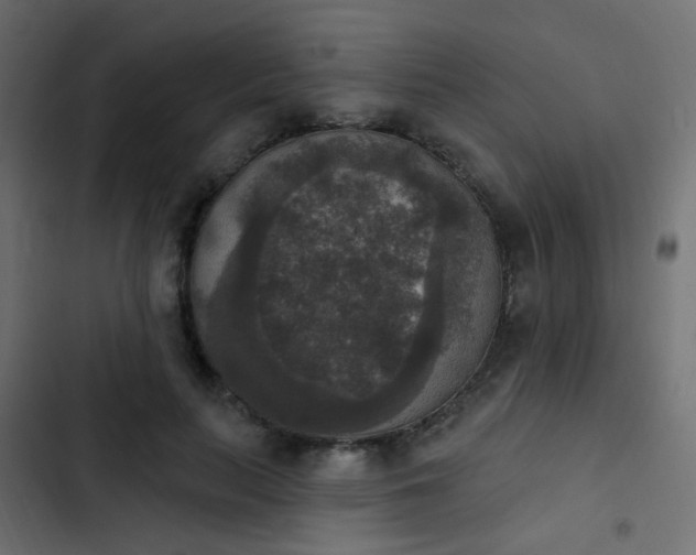 X0000103950647200809261749