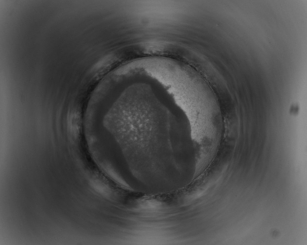 X0000103950648200809261749